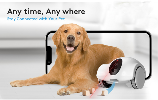 Dog Camera Robot can make your pets Happy while it alone.