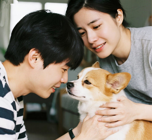 What Should I Do If My Dog Has Separation Anxiety?