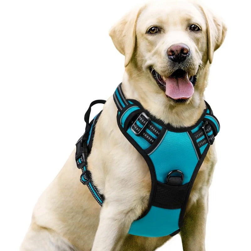 Dog Harness and Leash Set Pet Harness, Adjustable Puppy Vest for Small Medium Large Dogs, Cats Strap+leash