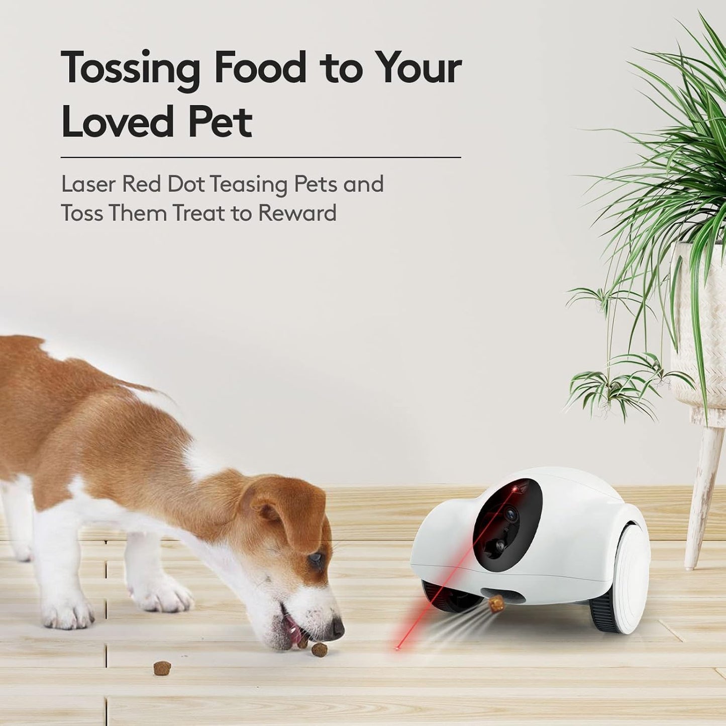 Intelligent pet companion robot ,Camera monitoring robot, remote pet companionship movable two-way communication whole house camera mobile snack feeding machine