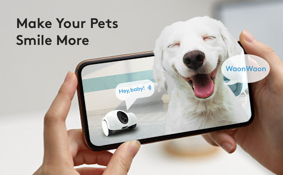Intelligent pet companion robot ,Camera monitoring robot, remote pet companionship movable two-way communication whole house camera mobile snack feeding machine