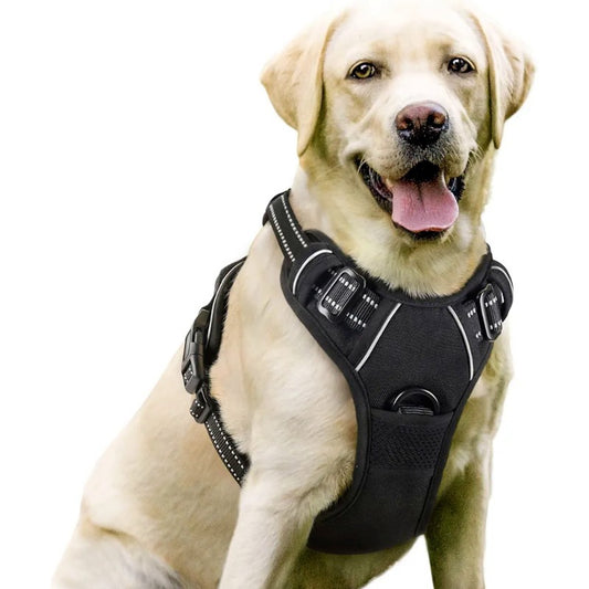 Dog Harness and Leash Set Pet Harness, Adjustable Puppy Vest for Small Medium Large Dogs, Cats Strap+leash